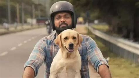 Hindi version of Rakshit Shetty’s 777 Charlie now streaming for free.